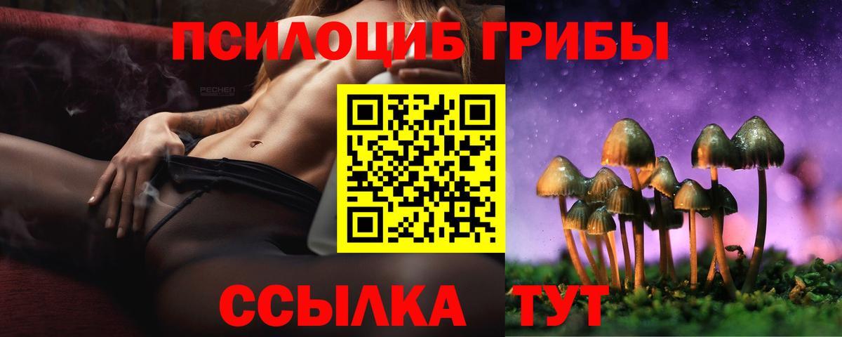 Псилоцибиновые грибы Magic Shrooms Нурлат